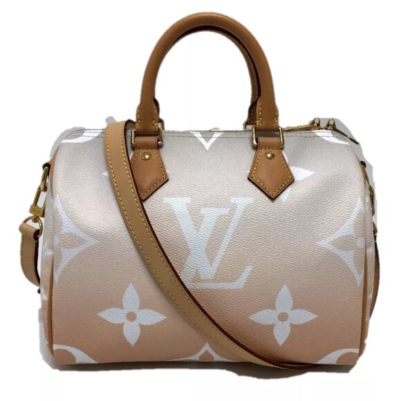 LOUIS VUITTON Monogram Giant Gradient Speedy Bandouliere - Picture 1 of 15